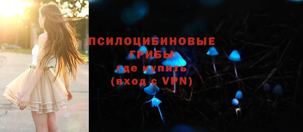 PSILOCYBIN Алексеевка