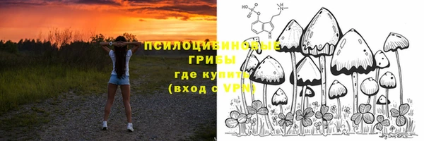 PSILOCYBIN Алексеевка