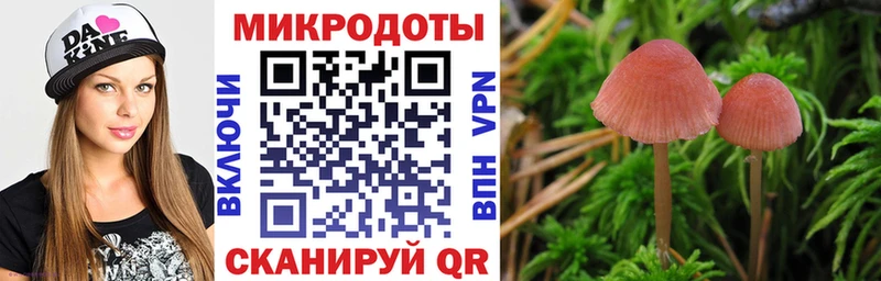ссылка на мегу маркетплейс Лабинск Псилоцибиновые грибы MAGIC MUSHROOMS