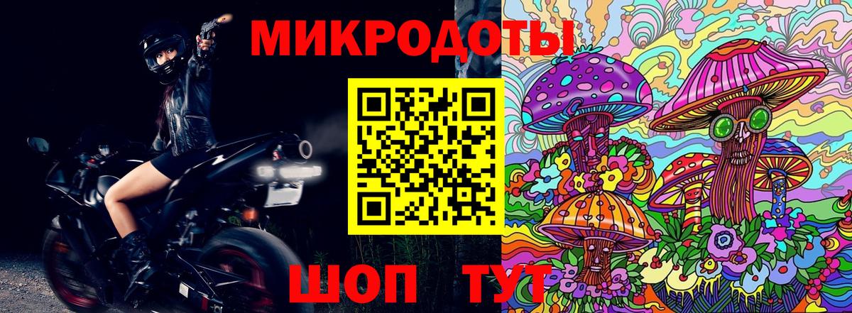 Галлюциногенные грибы Psilocybine cubensis Лабинск